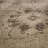 Aryan Gold 3