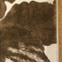 Karpet Crystal - 5